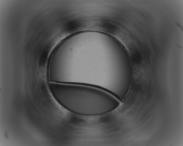 X0000095671139200801221159