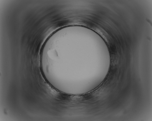 X0000095671140200801221159