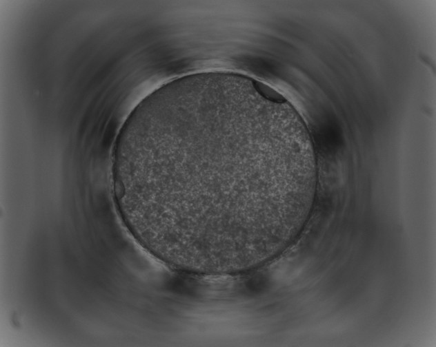 X0000095671142200801221159