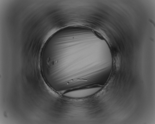 X0000095671143200801221159