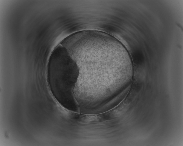 X0000095671144200801221159