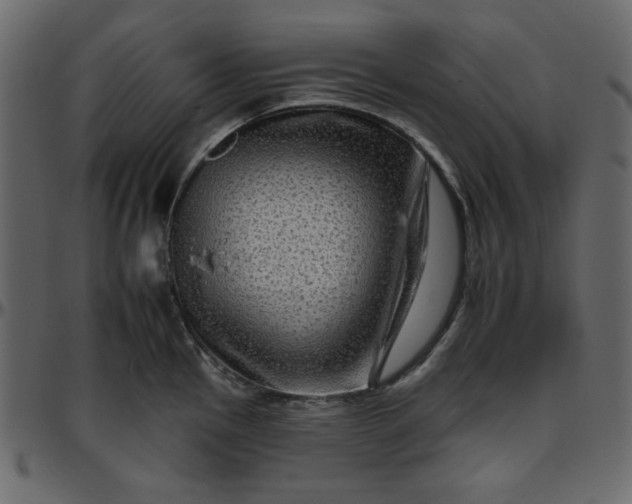 X0000095671145200801221159