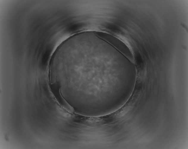 X0000095671146200801221159