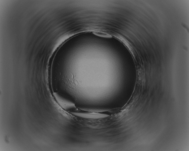 X0000095671147200801221159