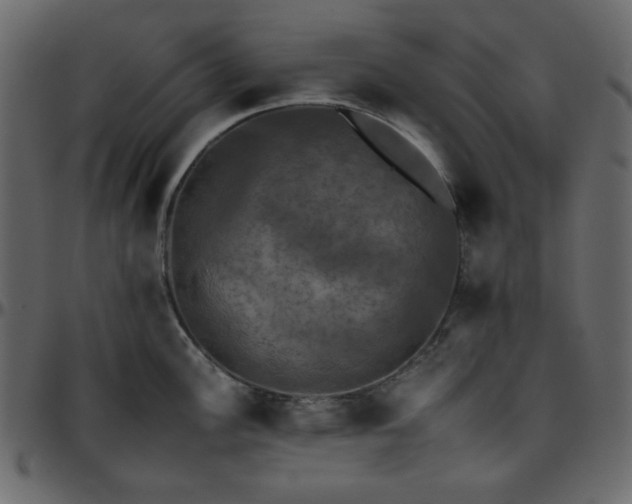 X0000095671148200801221159