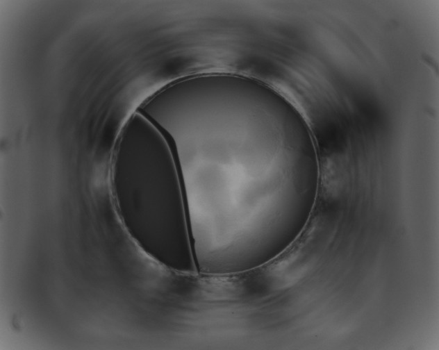 X0000095671149200801221159