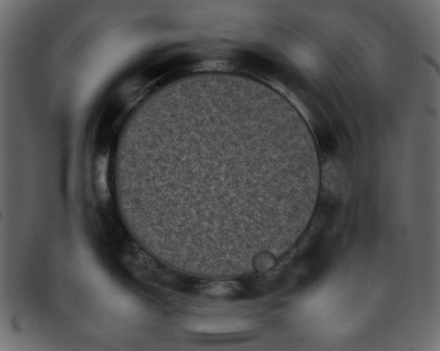 X0000095671150200801221159