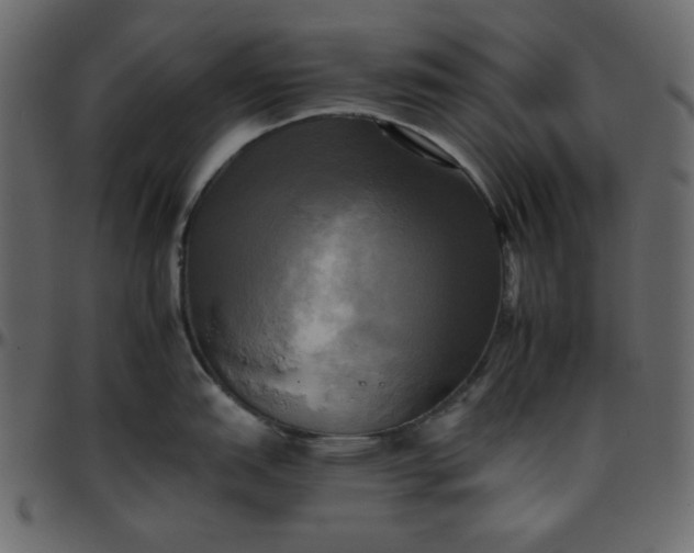 X0000095671151200801221159