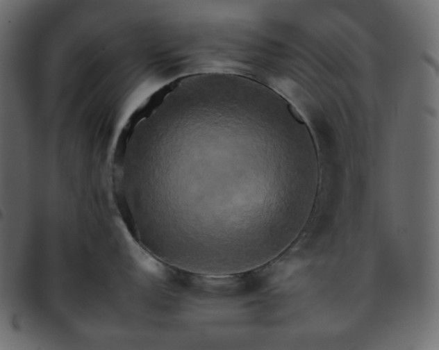 X0000095671152200801221159