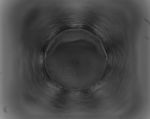 X0000095671154200801221158