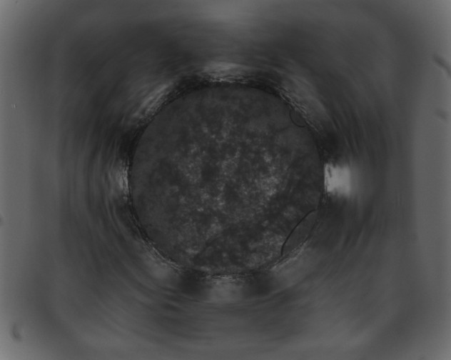 X0000095671155200801221158