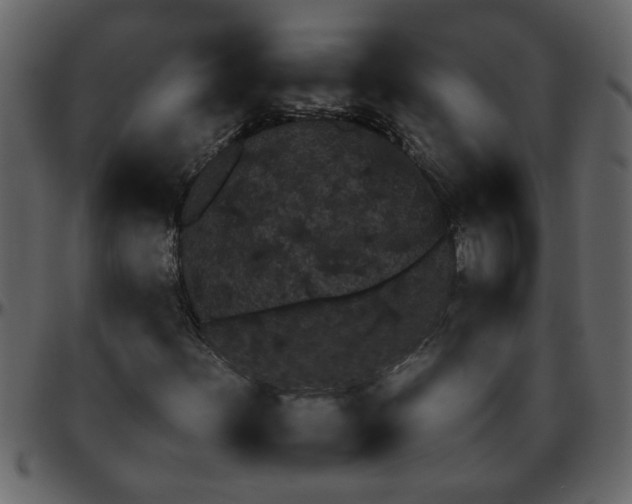 X0000095671156200801221158