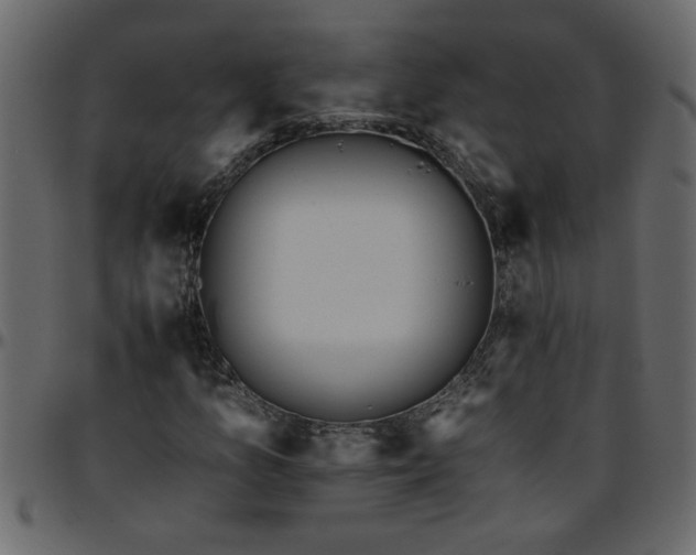 X0000095671157200801221158