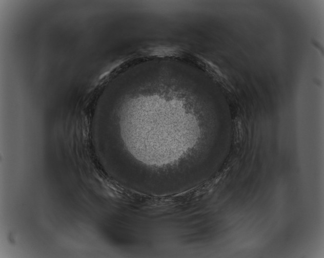 X0000095671158200801221158