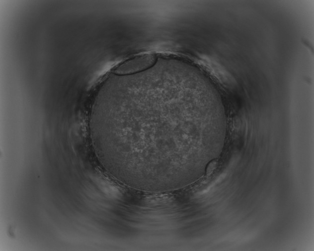 X0000095671159200801221158