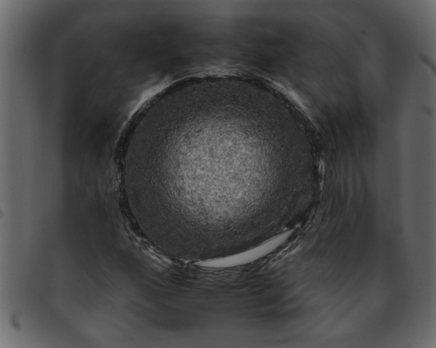 X0000095671160200801221158