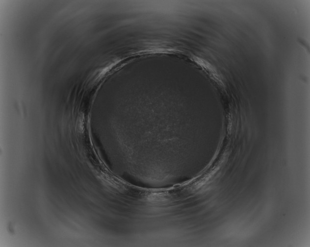 X0000095671161200801221158