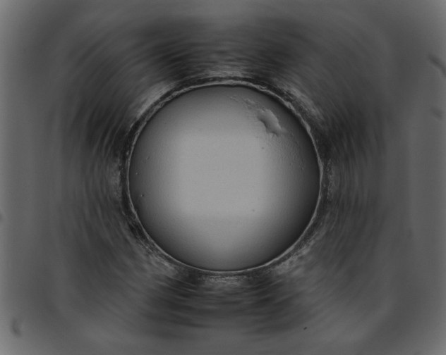 X0000095671162200801221158