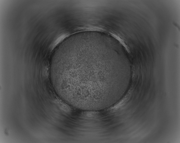 X0000095671163200801221158