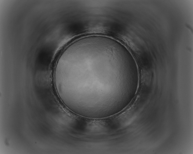 X0000095671164200801221158