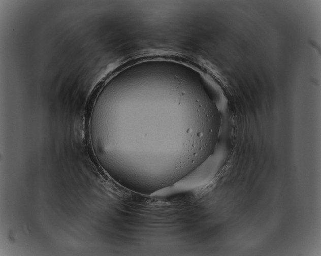 X0000095671165200801221158