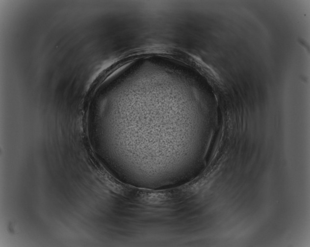 X0000095671166200801221158