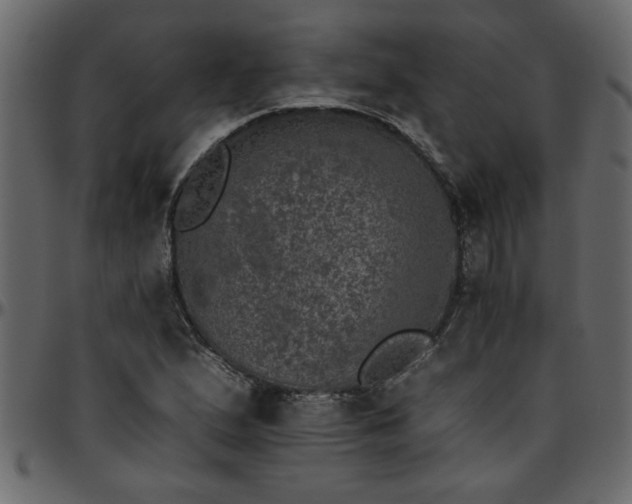 X0000095671167200801221158