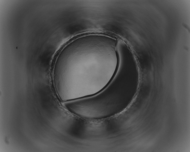 X0000095671168200801221158