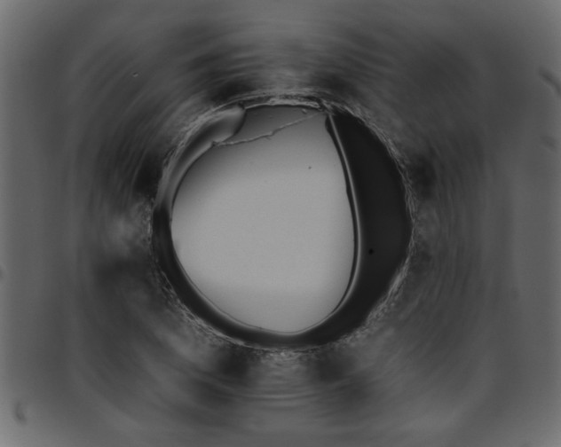 X0000095671169200801221158