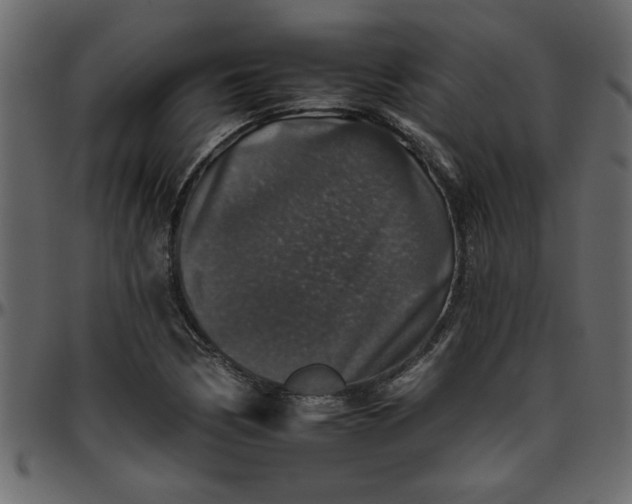 X0000095671170200801221158