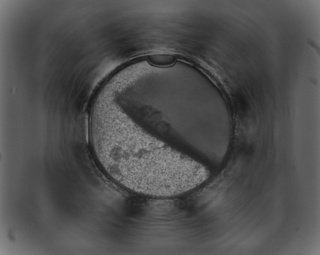 X0000095671171200801221158