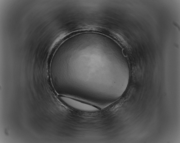 X0000095671172200801221158