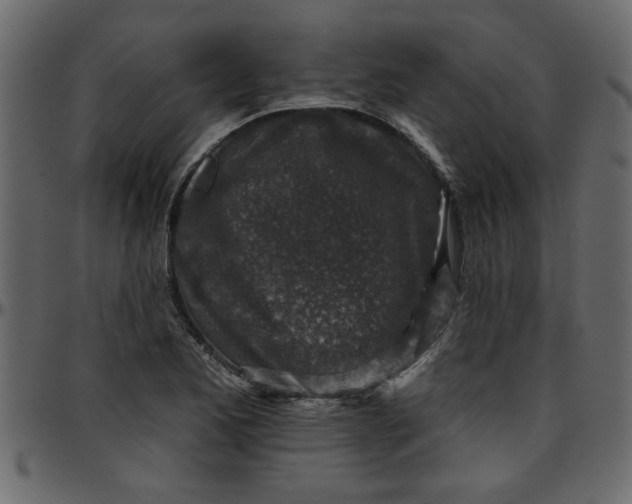 X0000095671173200801221158