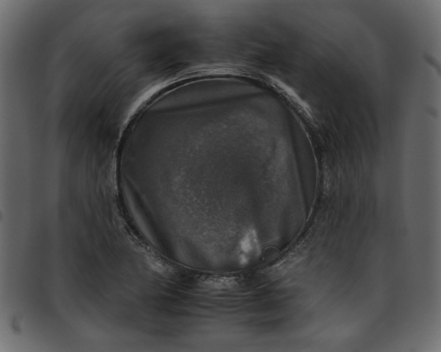 X0000095671174200801221158