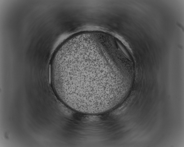 X0000095671175200801221158