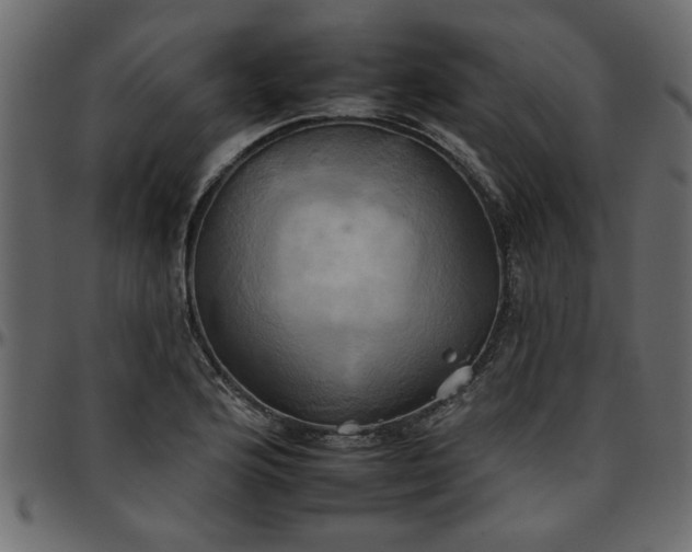 X0000095671176200801221158