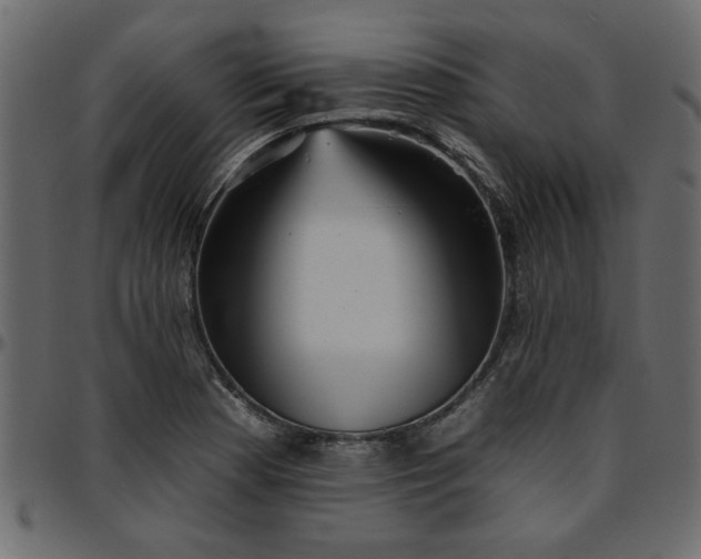 X0000095671177200801221158