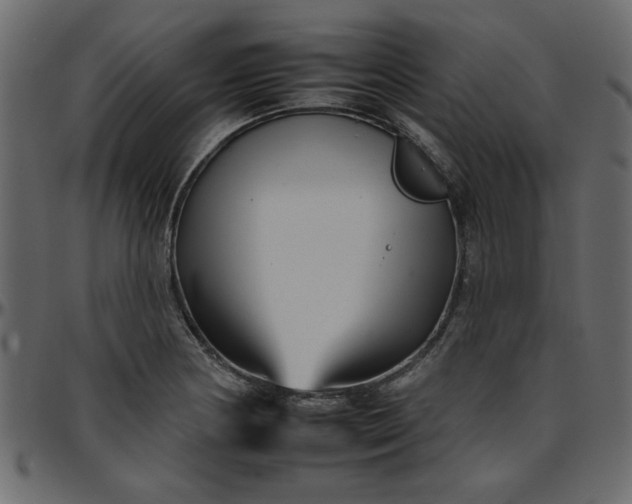 X0000095671178200801221158