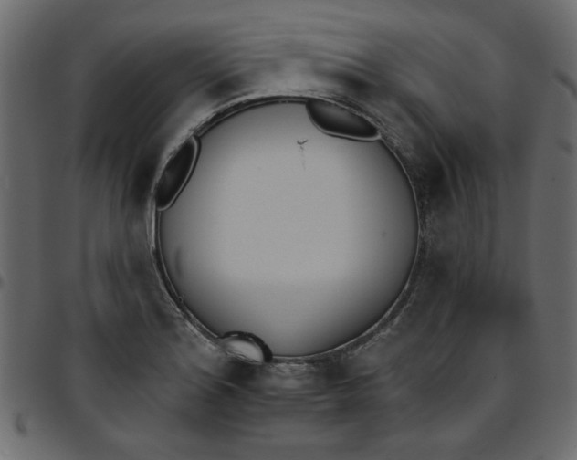 X0000095671180200801221158