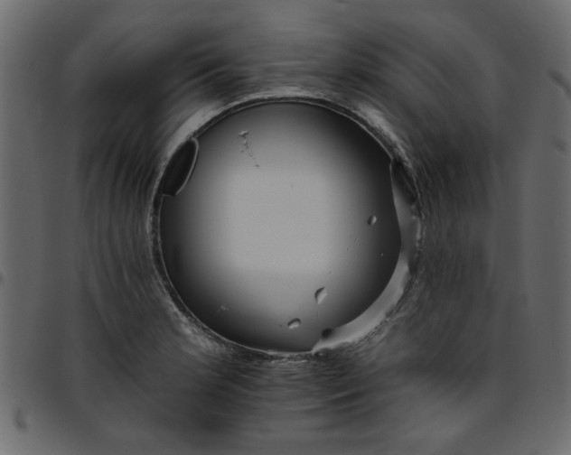 X0000095671181200801221158