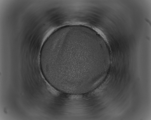 X0000095671183200801221158