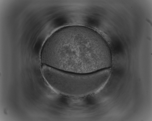 X0000095671184200801221158