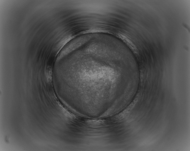 X0000095671185200801221158