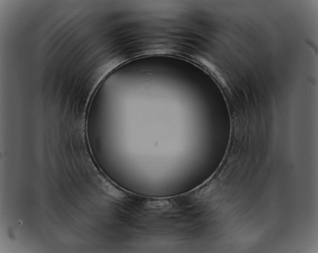 X0000095671186200801221158