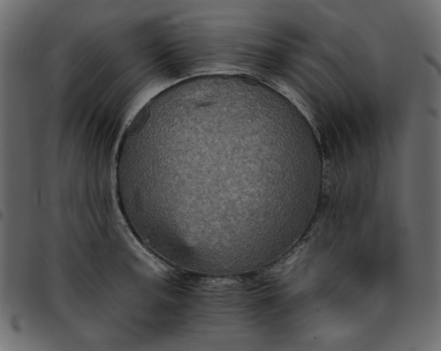 X0000095671187200801221158