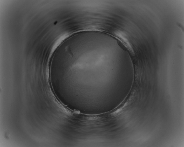 X0000095671188200801221158