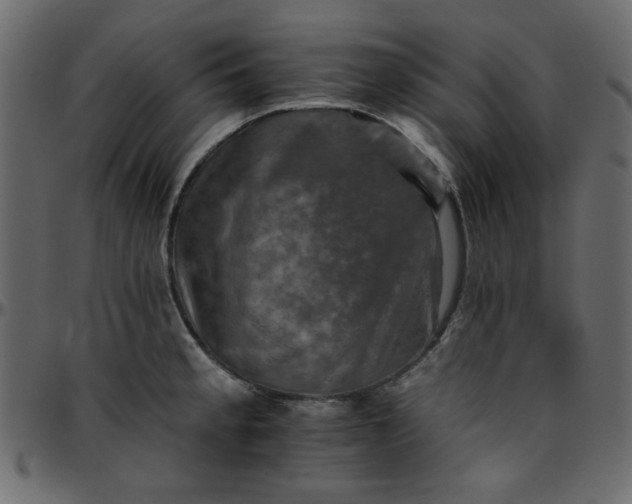 X0000095671189200801221158