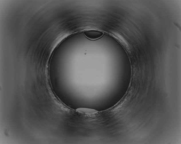 X0000095671190200801221158