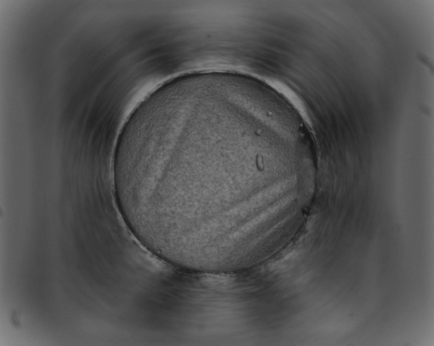 X0000095671191200801221158