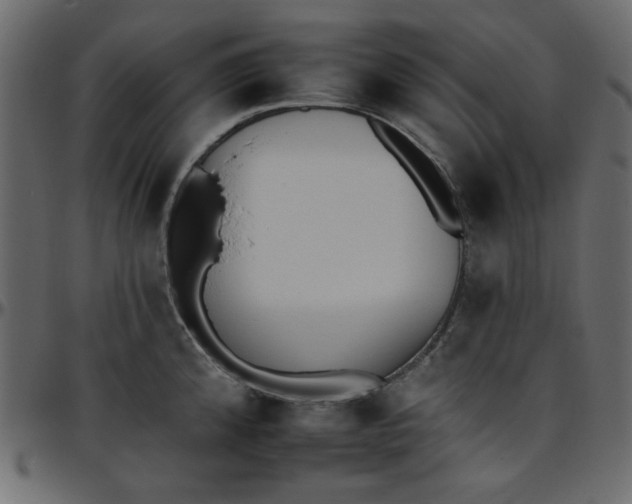 X0000095671192200801221158